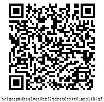 Code eintragen oder Bild Scannen